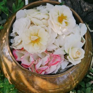 Hidrolatas „Švelnumas“