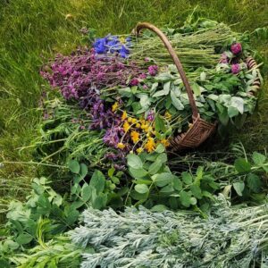 Hidrolatas „Ritualinė dulksna“