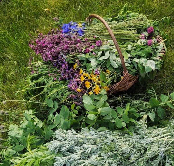 Hidrolatas „Ritualinė dulksna“